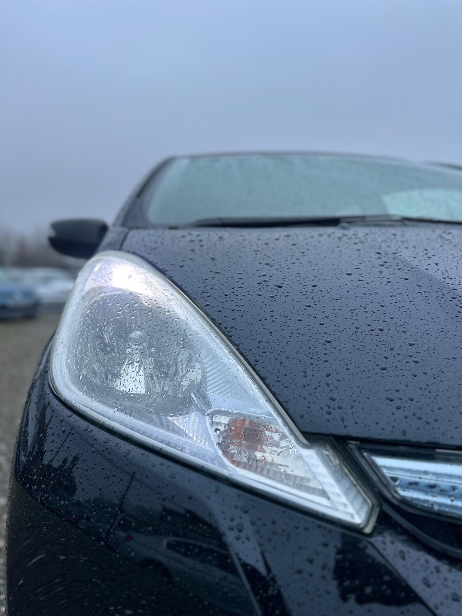 Used Honda Fit for sale - 77267358: Photo 43