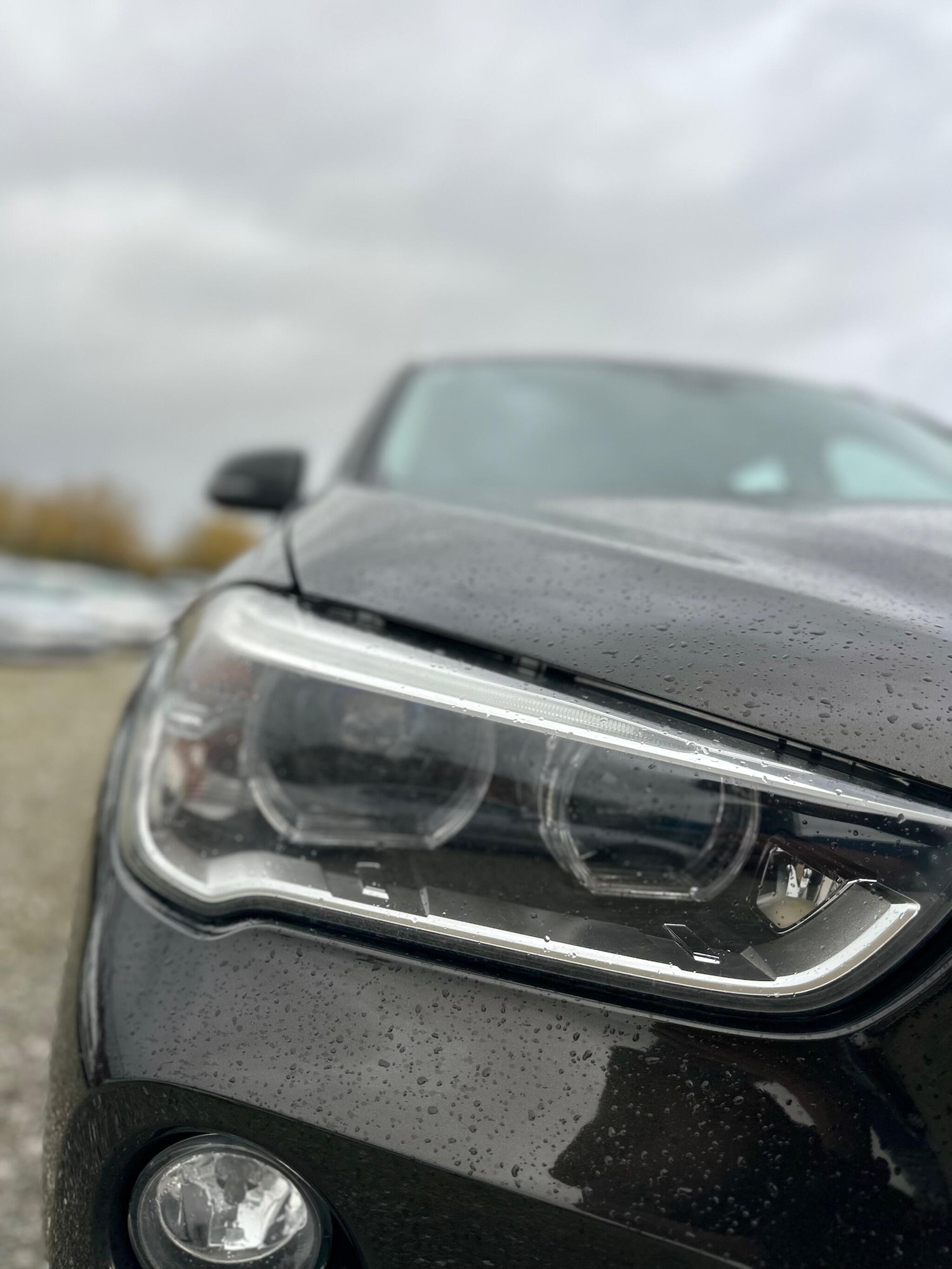 Used BMW X1 for sale - 76752500: Photo 46