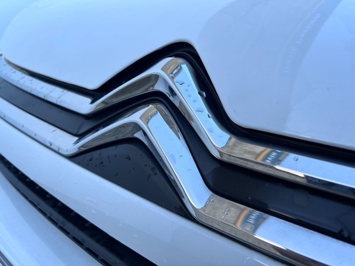 Used Citroen C4 2024 for sale - 76658850: Photo 23