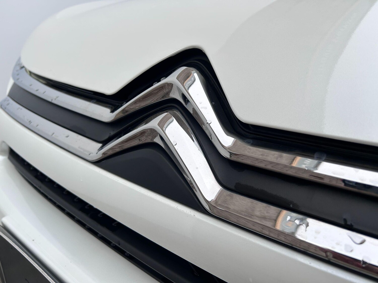 Used Citroen C4 2024 for sale - 76658789: Photo 39