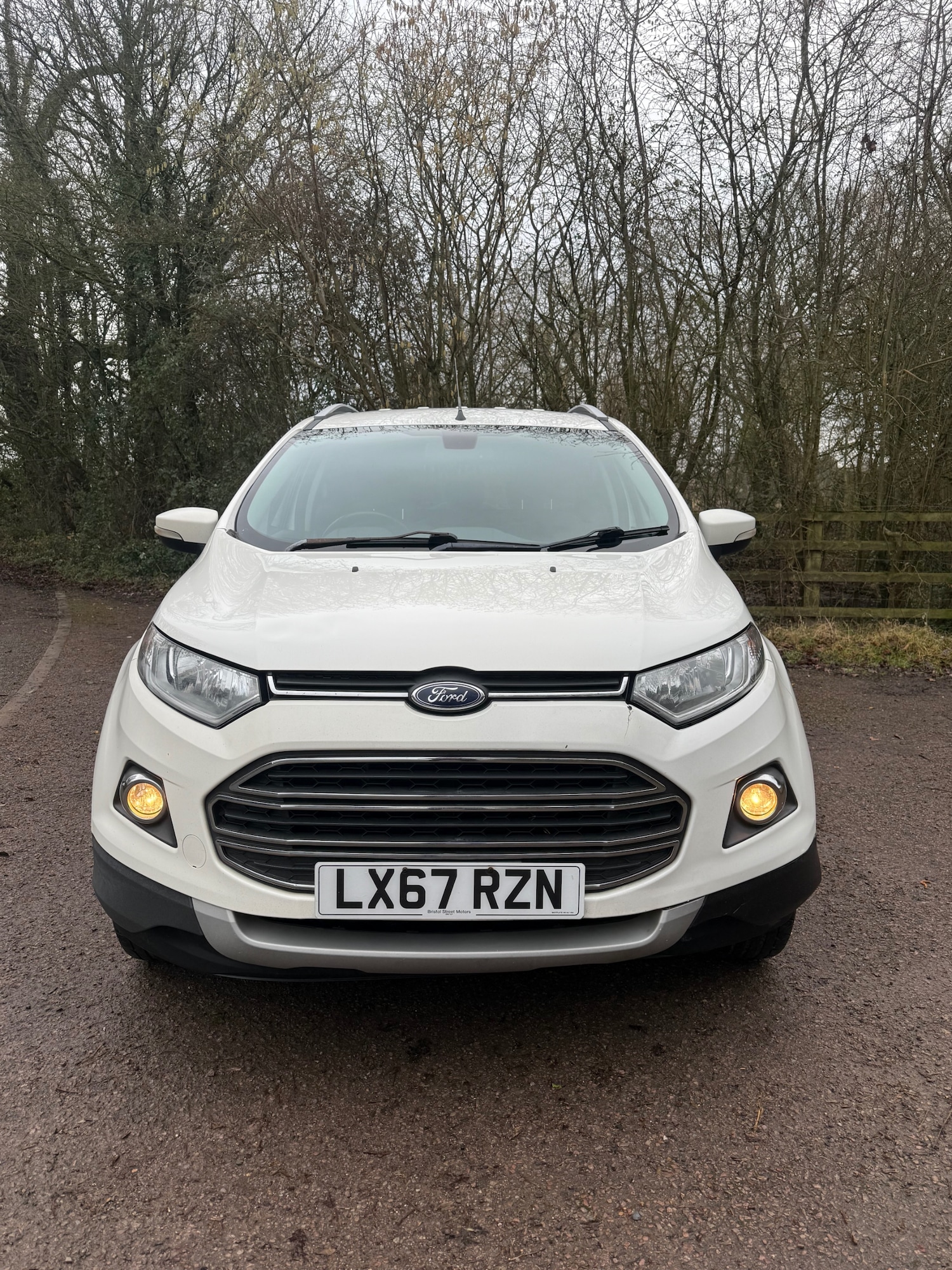 Used Ford Ecosport 2017 for sale - 77466039: Photo 2