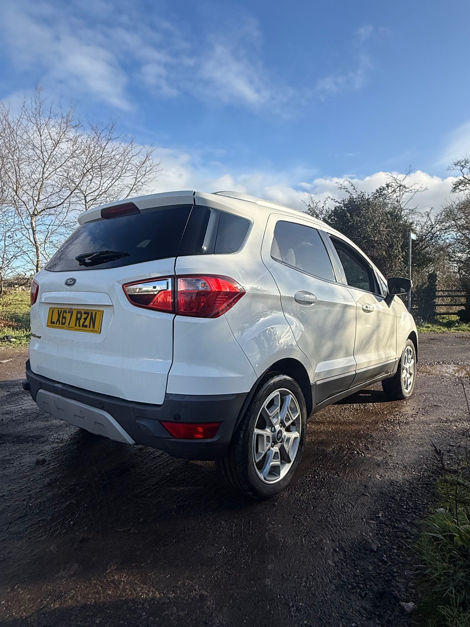 Used Ford Ecosport 2017 for sale - 77223344: Photo 6
