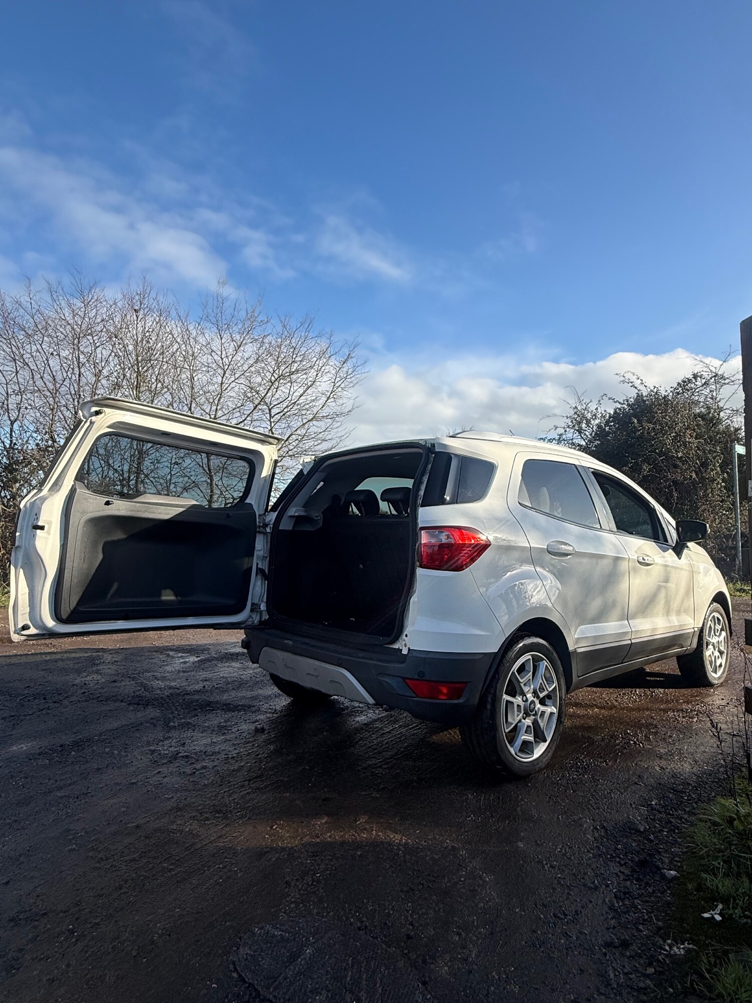 Used Ford Ecosport 2017 for sale - 77223344: Photo 7