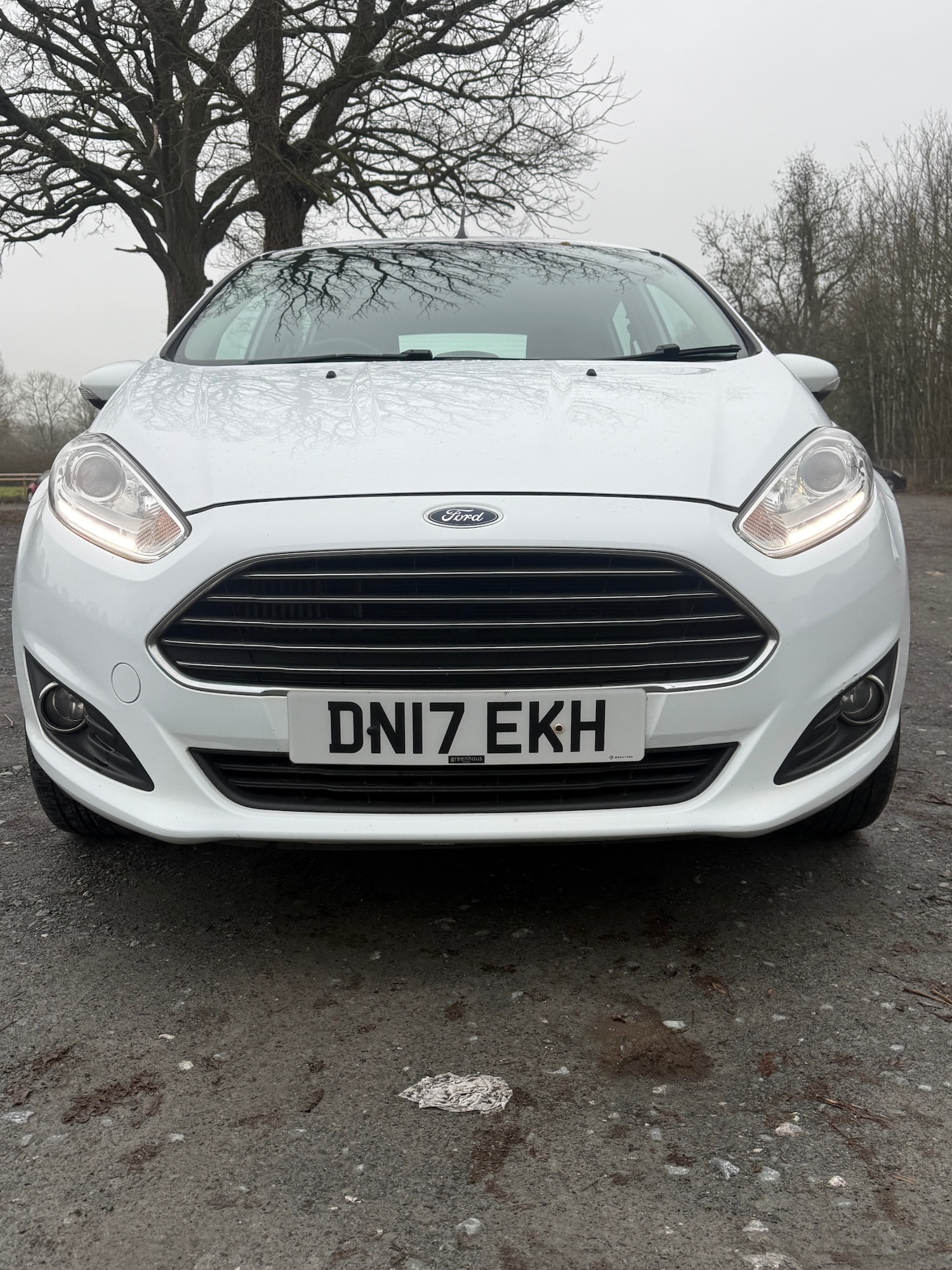Used Ford Fiesta 2017 for sale - 77521853: Photo 3