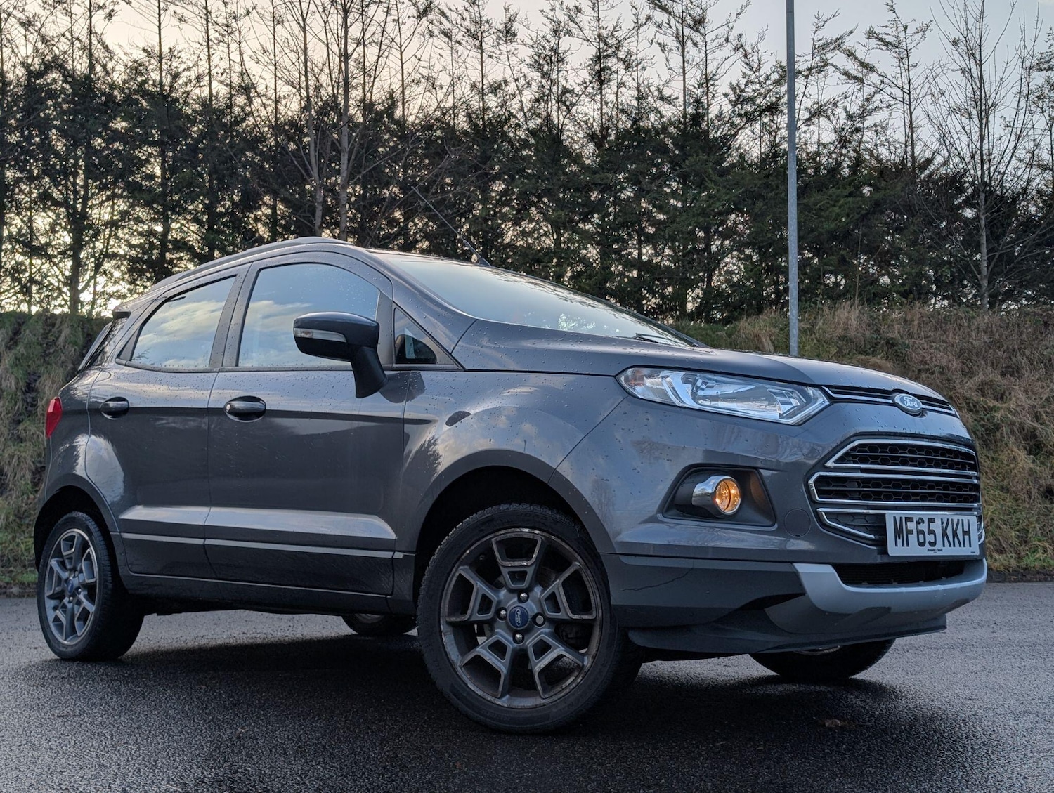 Used Ford Ecosport for sale - 77326246: Photo 30