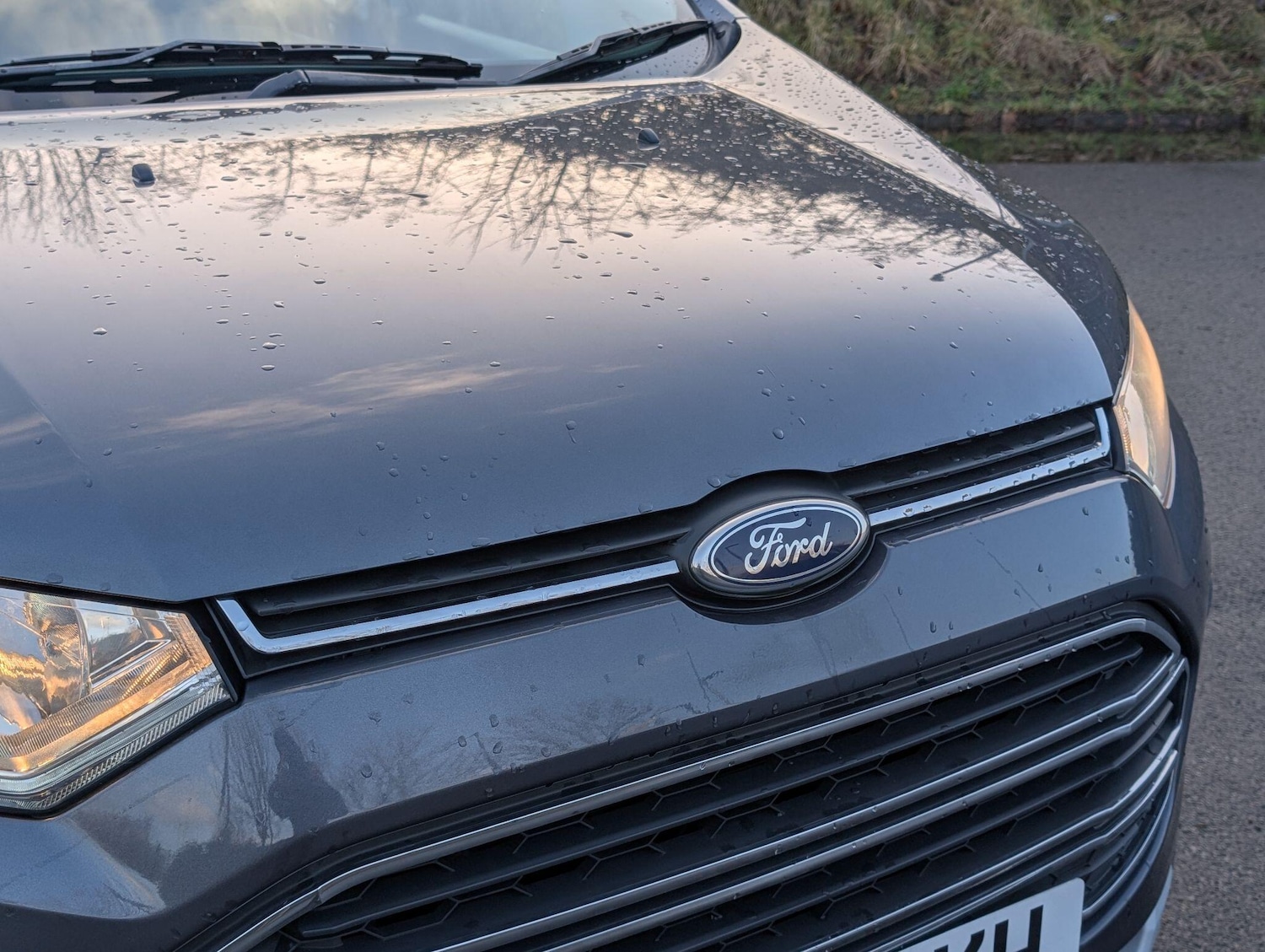 Used Ford Ecosport for sale - 77326246: Photo 48