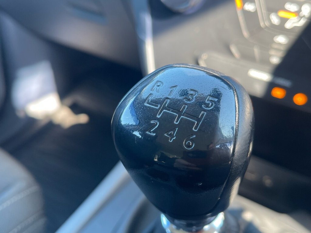 Used Ford Ranger 2019 for sale - 77764756: Photo 17