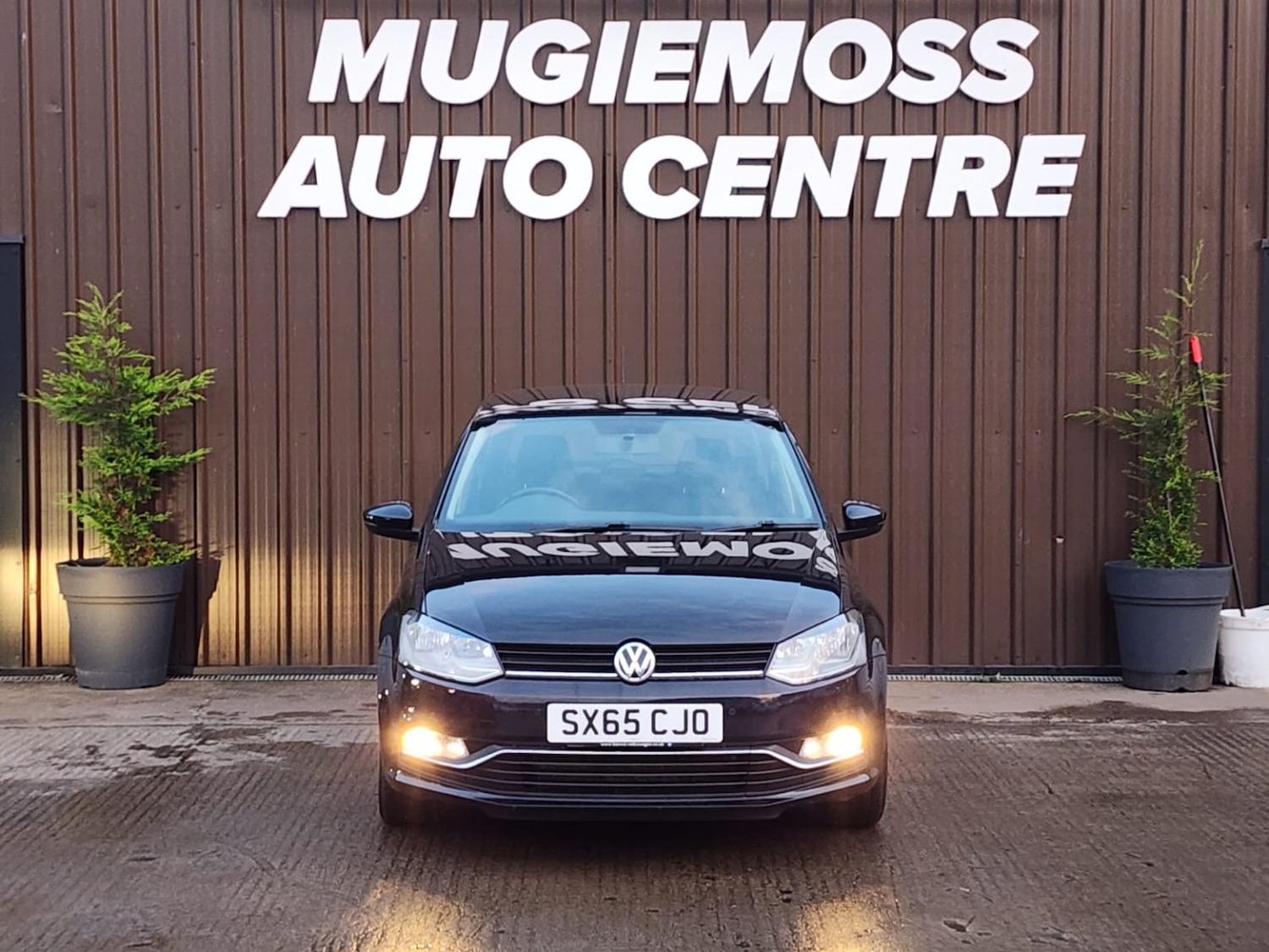 Used Volkswagen Polo 2016 for sale - 76605938: Photo 3