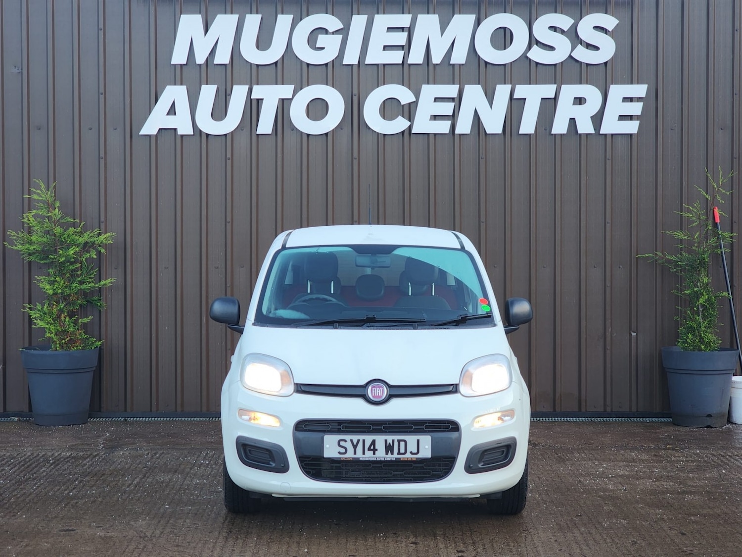 Used Fiat Panda 2014 for sale - 76986783: Photo 3