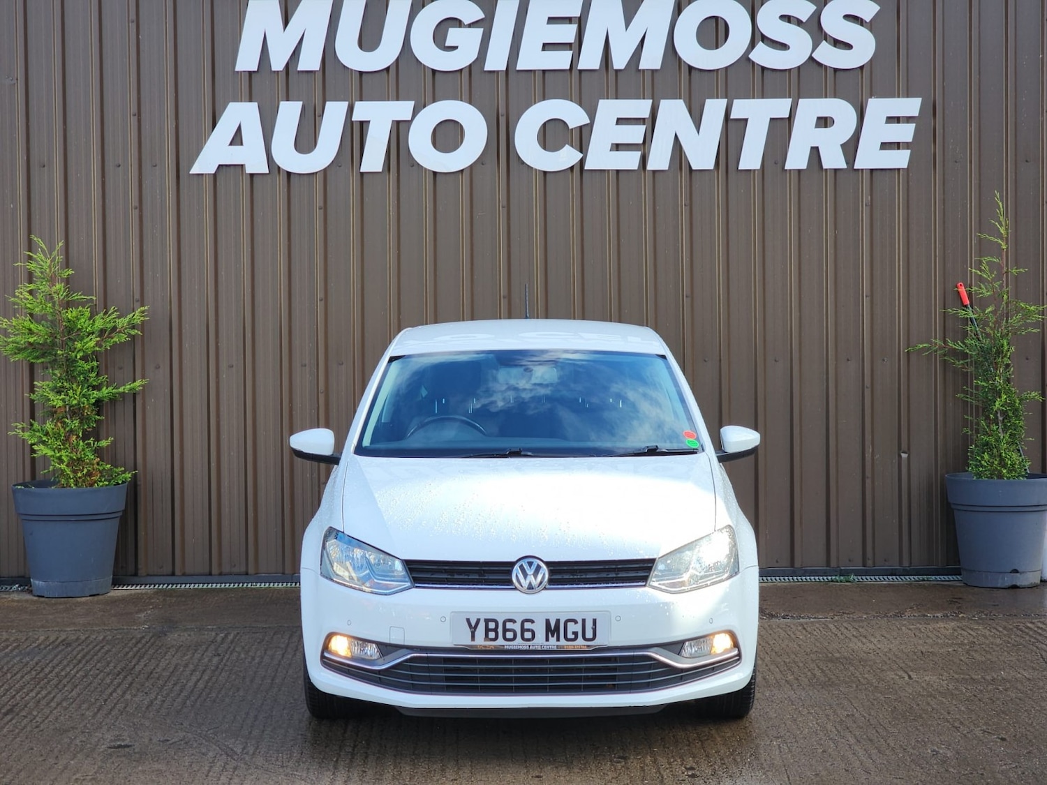 Used Volkswagen Polo 2016 for sale - 76407617: Photo 3