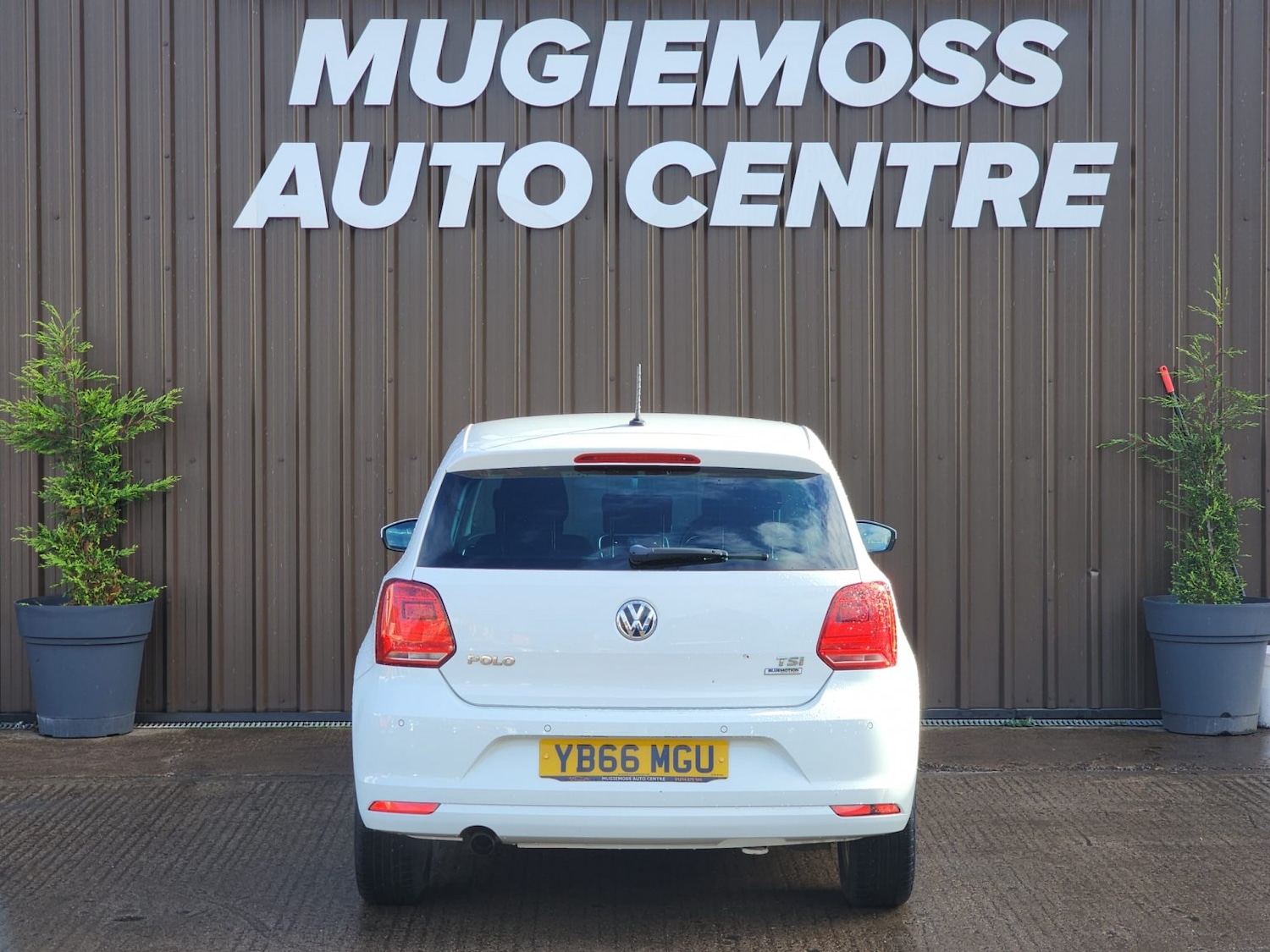 Used Volkswagen Polo 2016 for sale - 76407617: Photo 5