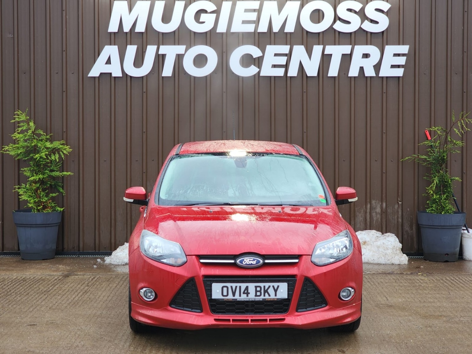 Used Ford Focus 2014 for sale - 77038974: Photo 3