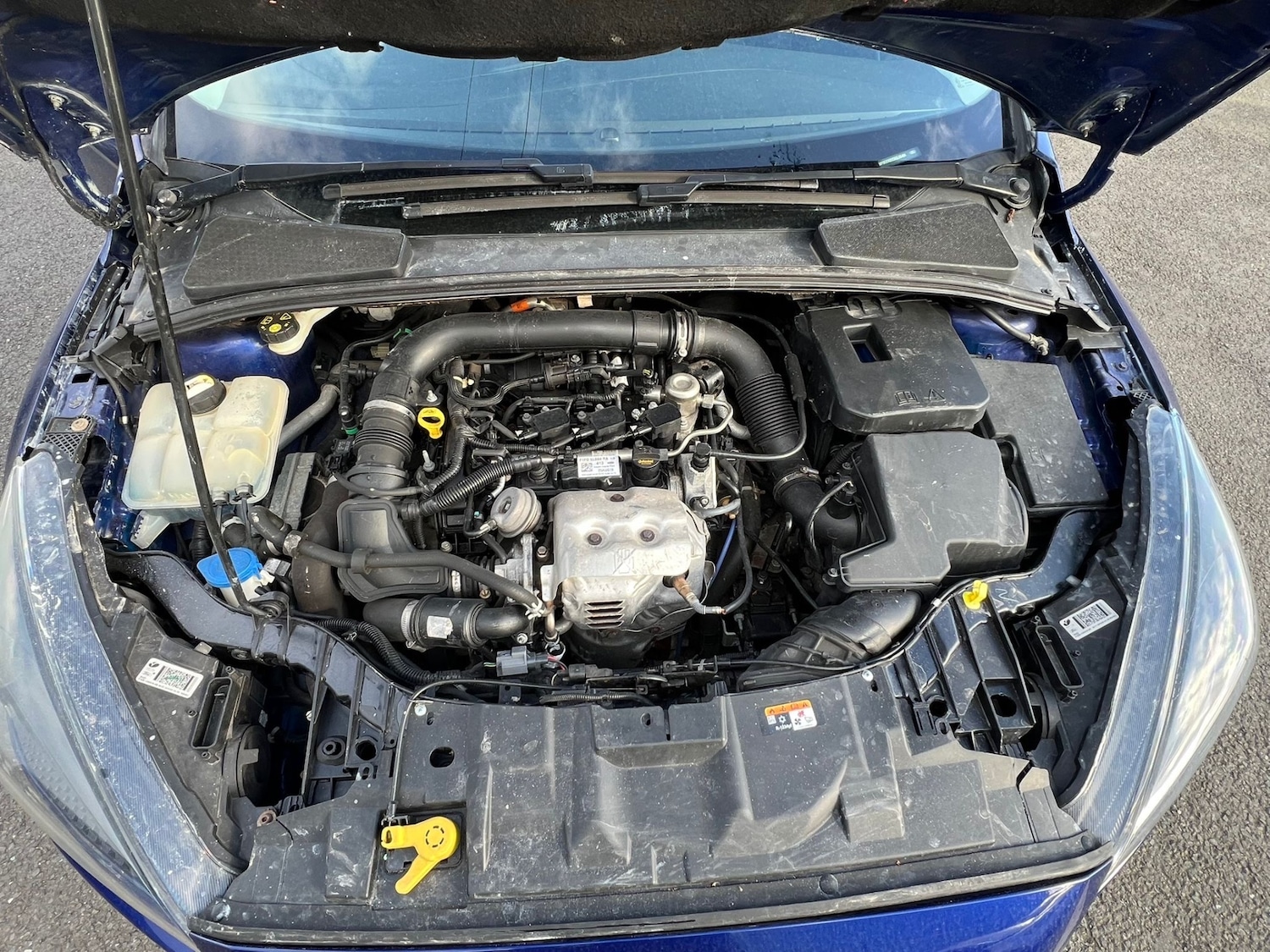 Used Ford Focus 2016 for sale - 77888393: Photo 8