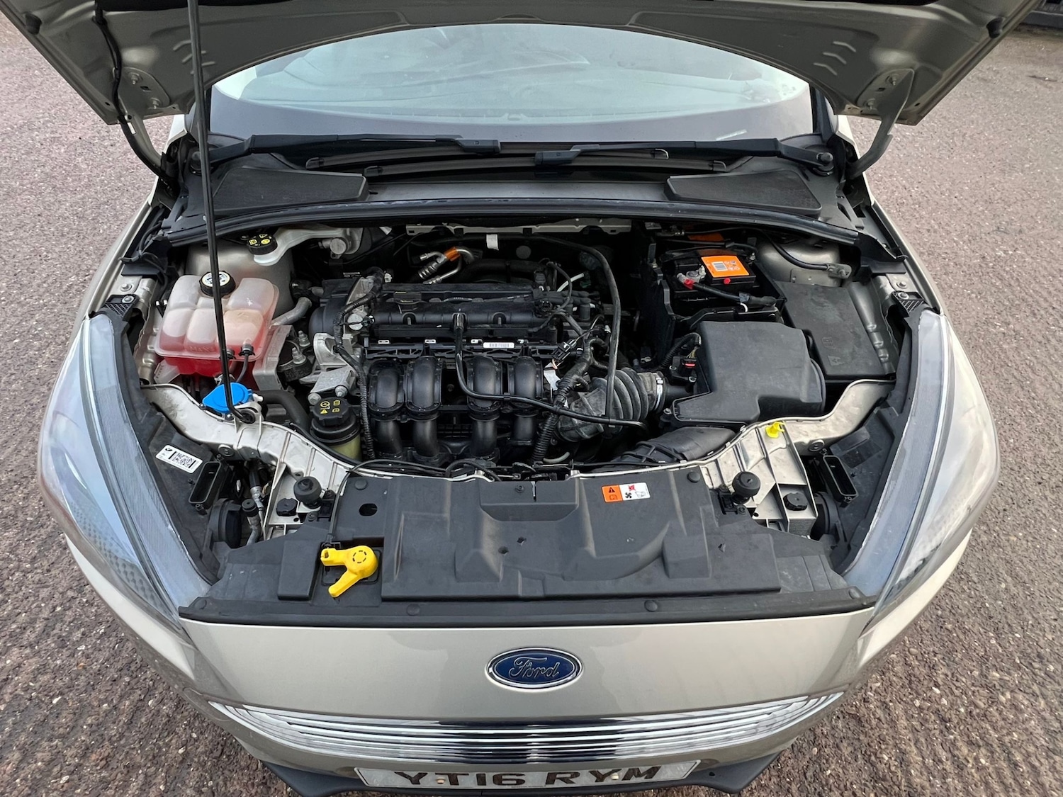 Used Ford Focus 2016 for sale - 77400379: Photo 23