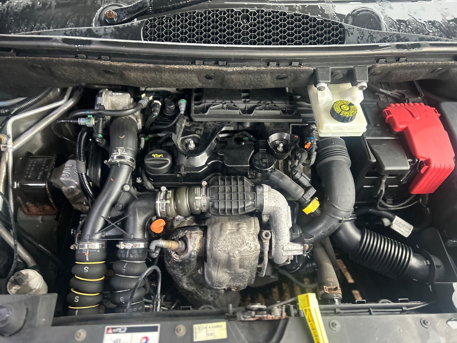 Used Peugeot Partner Tepee 2015 for sale - 76823777: Photo 25