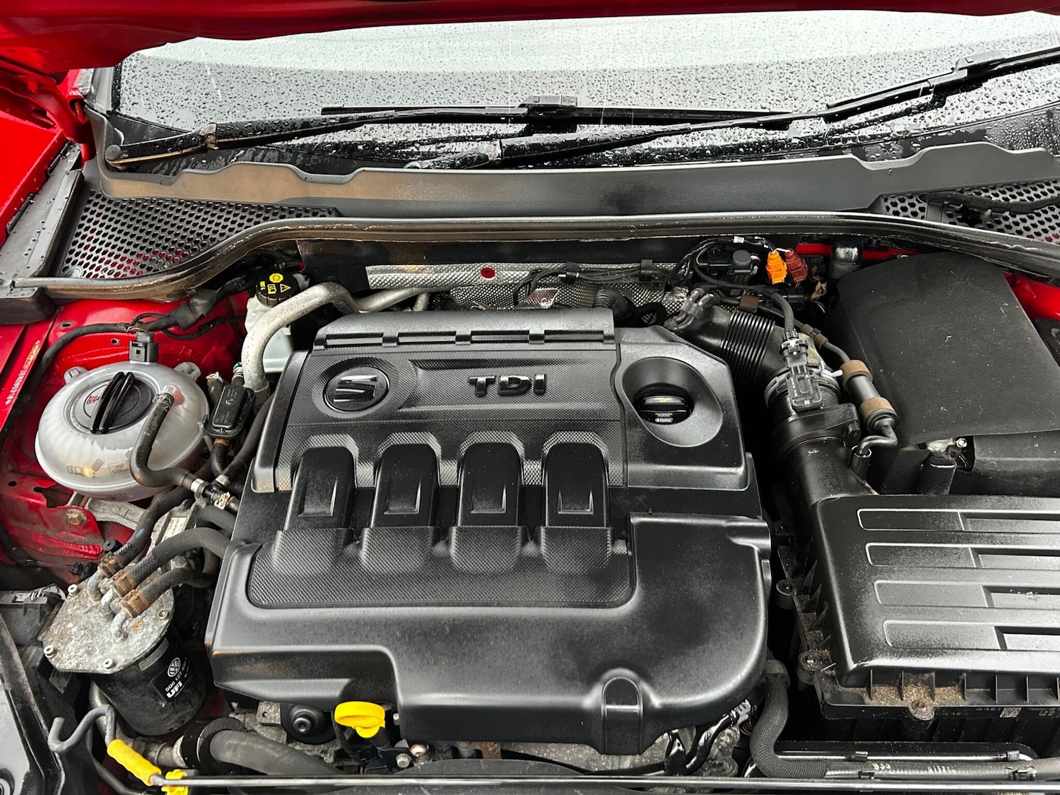 Used SEAT Leon for sale - 77768517: Photo 25