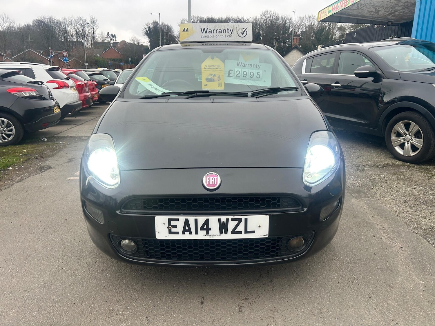 Used Fiat Punto 2014 for sale - 77586376: Photo 2