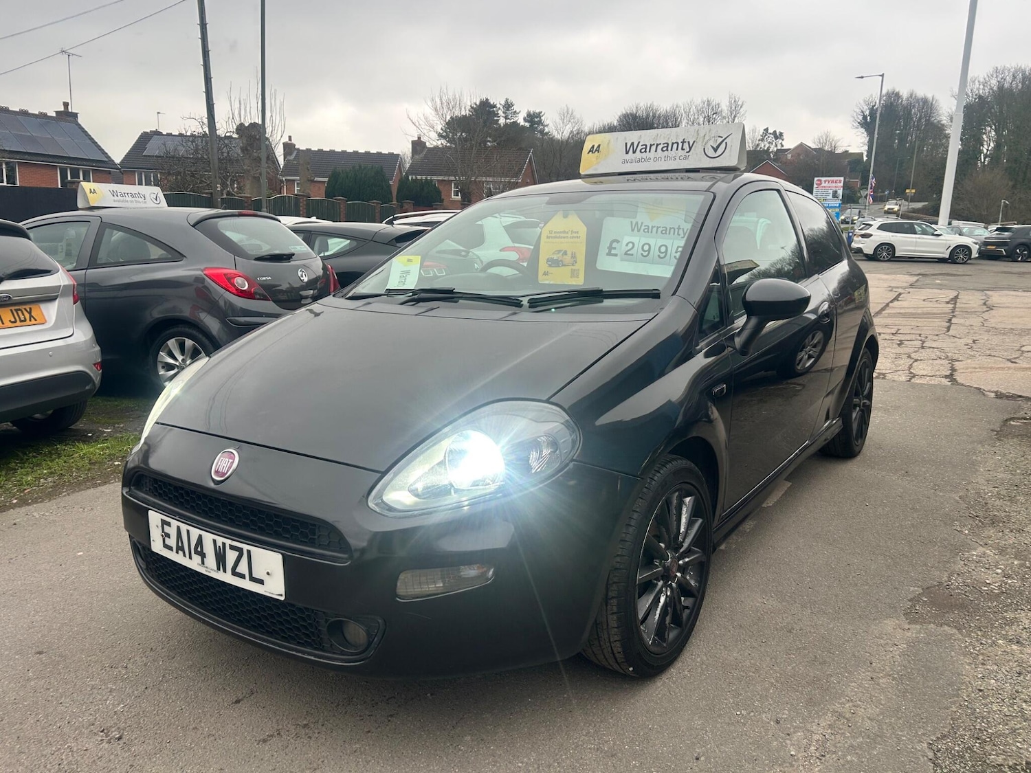 Used Fiat Punto 2014 for sale - 77586376: Photo 3