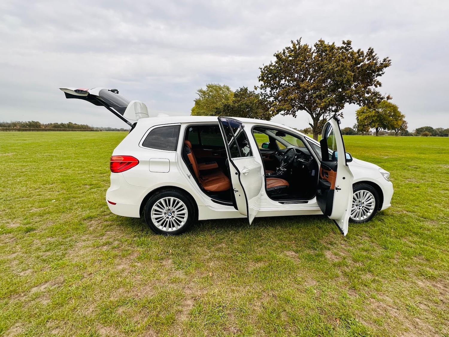 Used BMW 2 Series 2016 for sale - 76022624: Photo 6