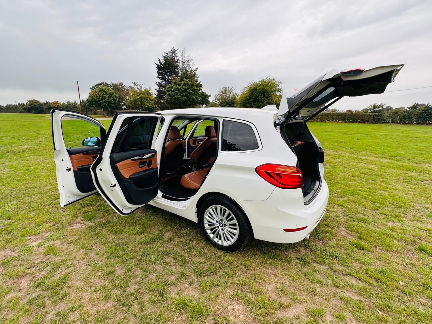 Used BMW 2 Series 2016 for sale - 76022624: Photo 7