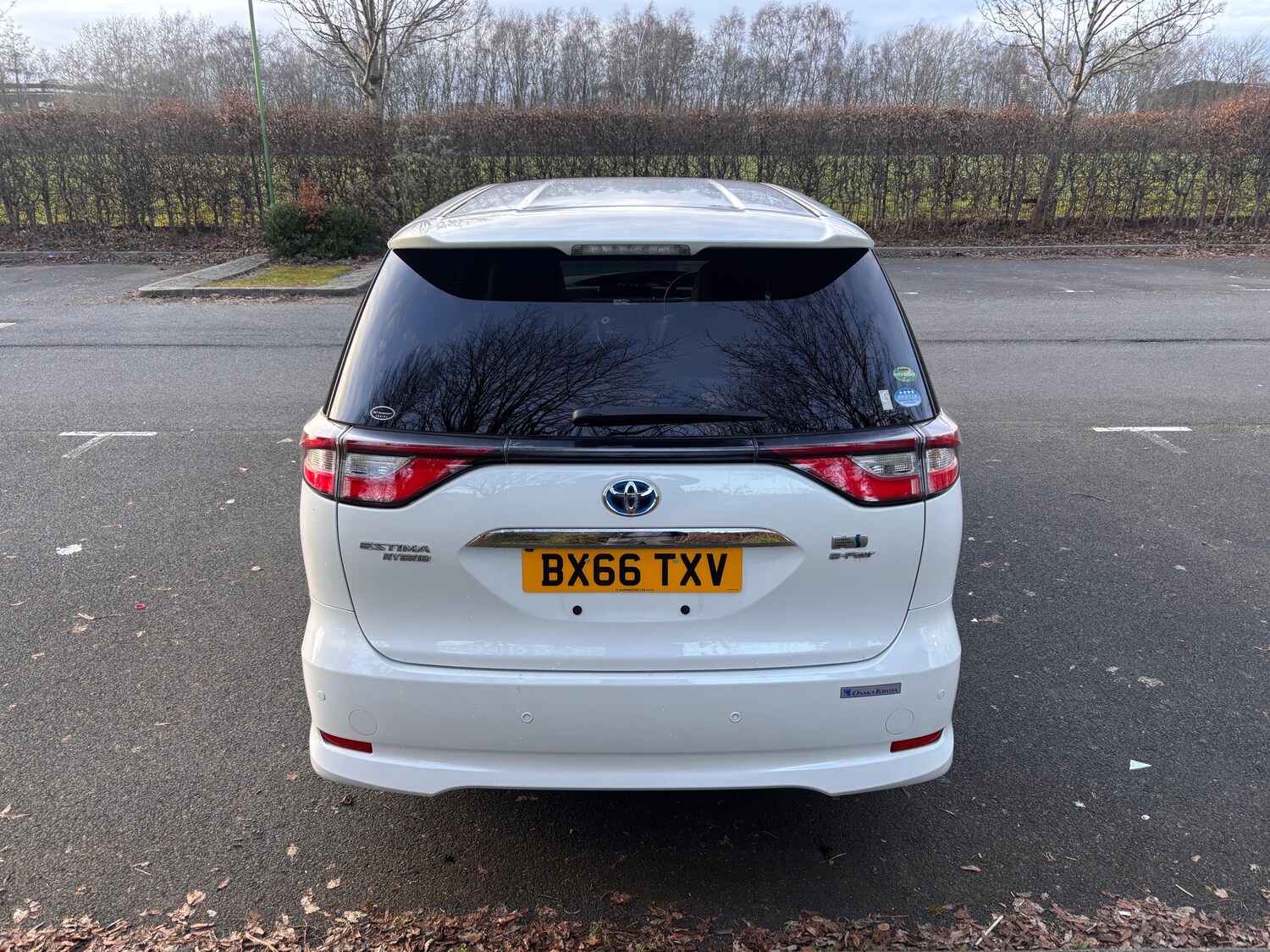 Used Toyota Estima 2026 for sale - 77966428: Photo 5