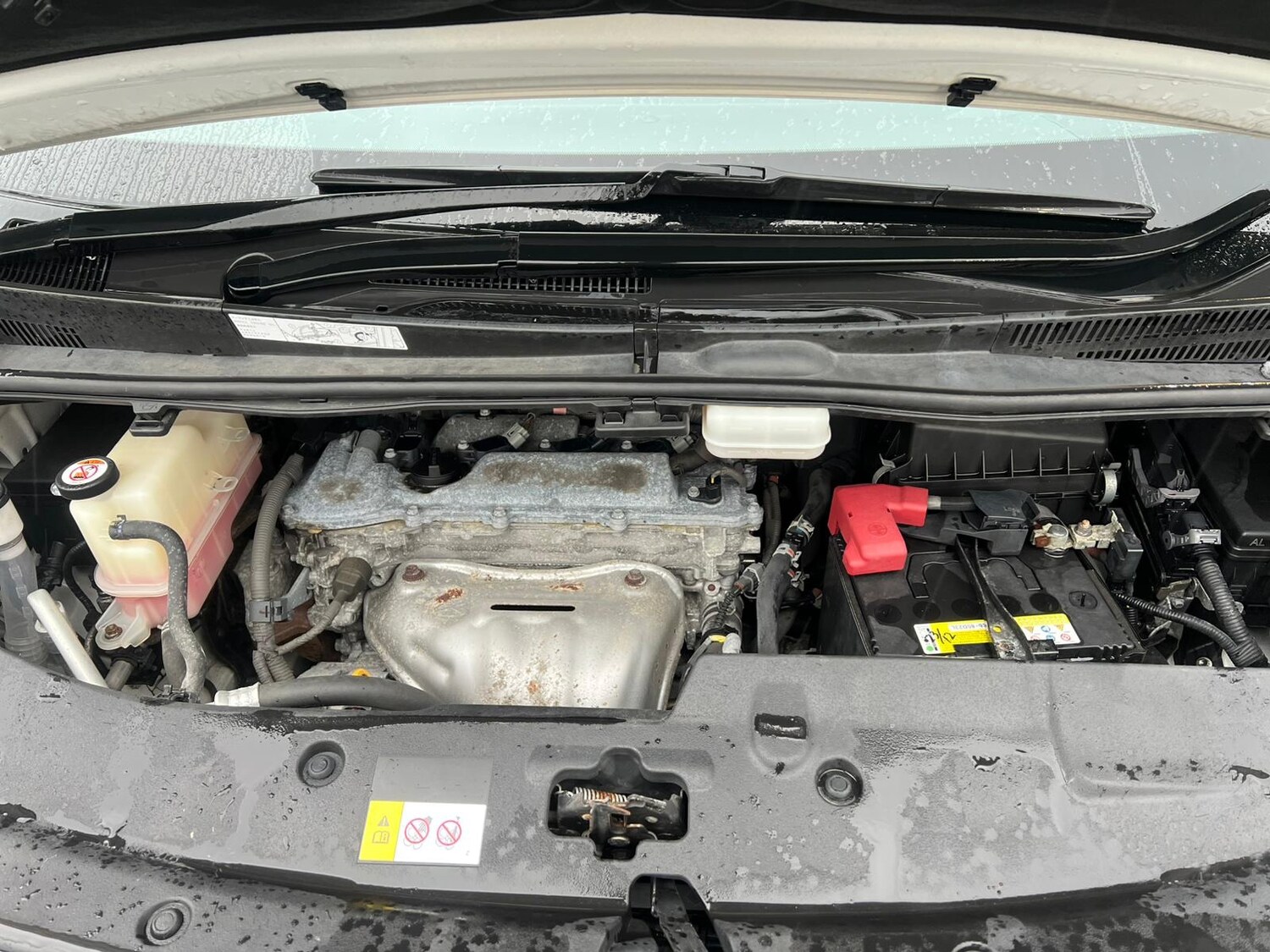 Used Toyota Alphard 2025 for sale - 77966439: Photo 19