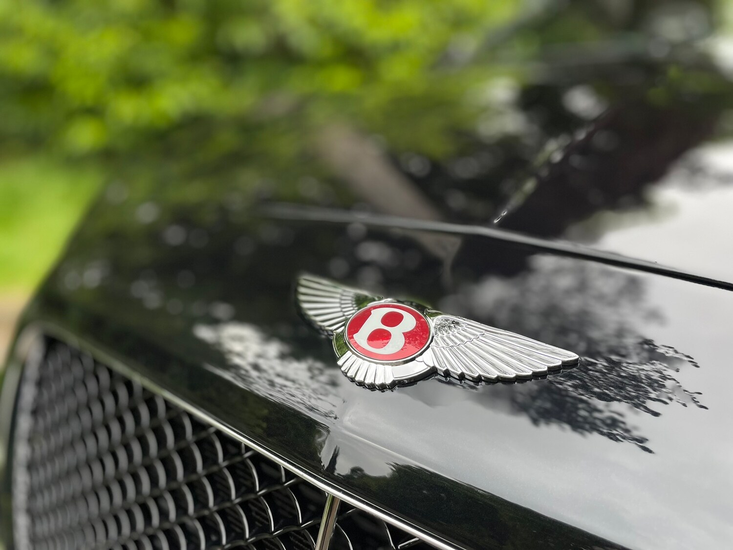 Used Bentley Continental for sale - 77762556: Photo 12