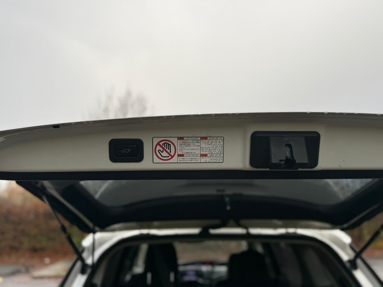 Used Toyota Estima 2025 for sale - 77966415: Photo 16