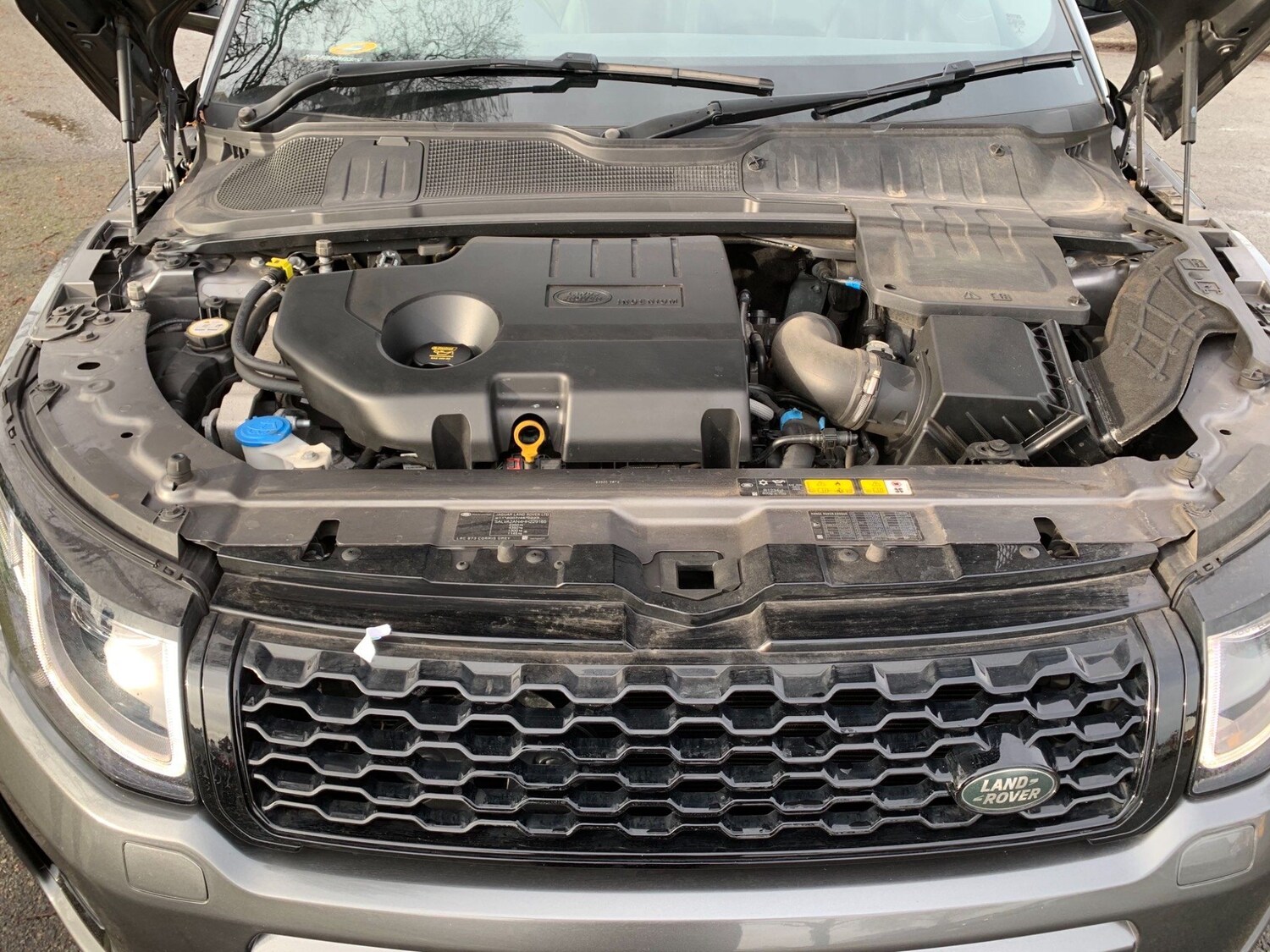 Used Land Rover Range Rover Evoque for sale - 77927834: Photo 19