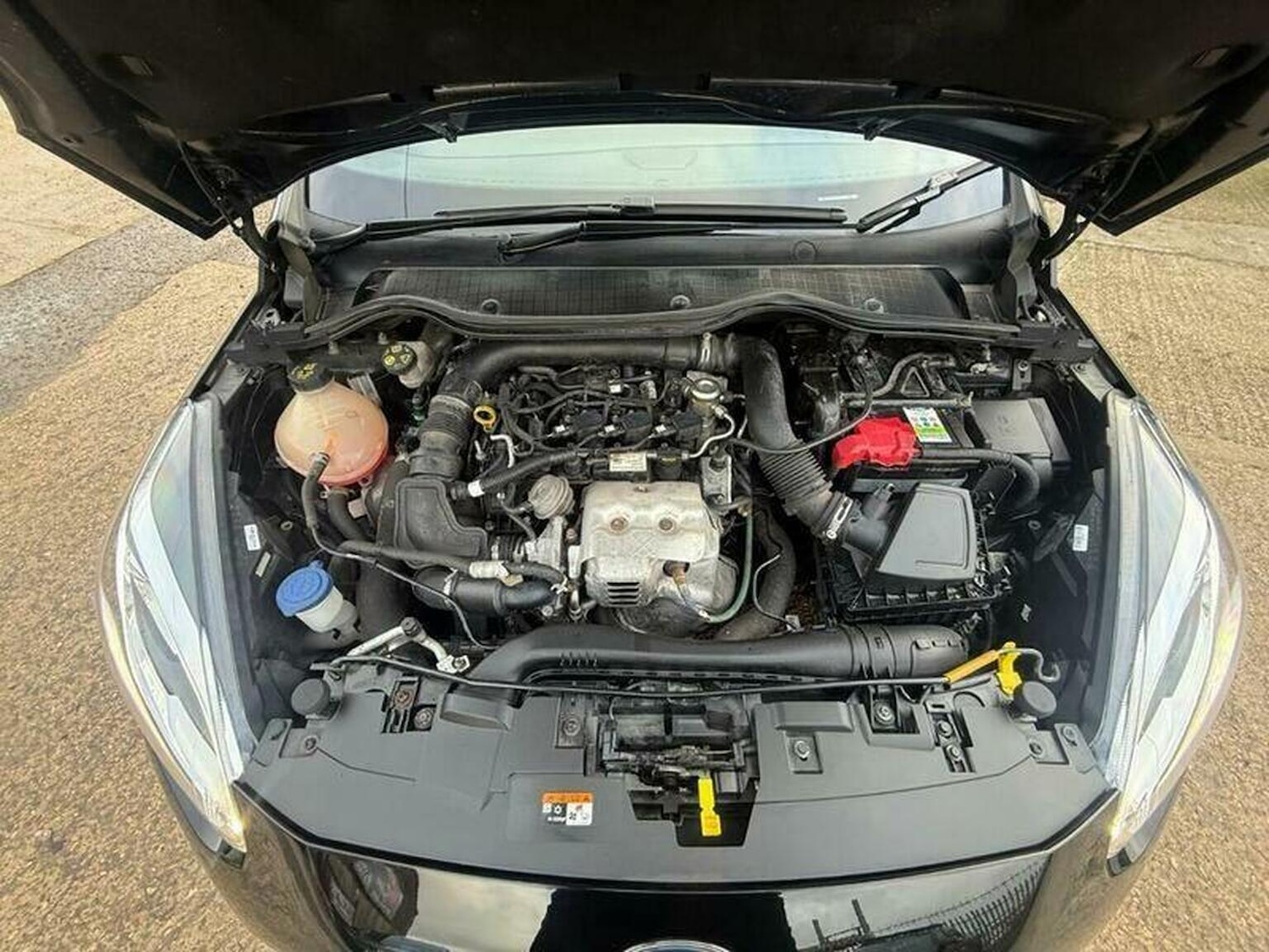 Used Ford Fiesta 2019 for sale - 77296846: Photo 33