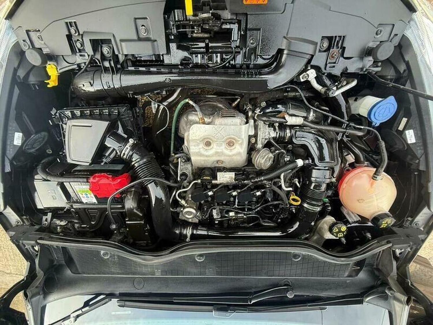 Used Ford Fiesta 2019 for sale - 77296846: Photo 51