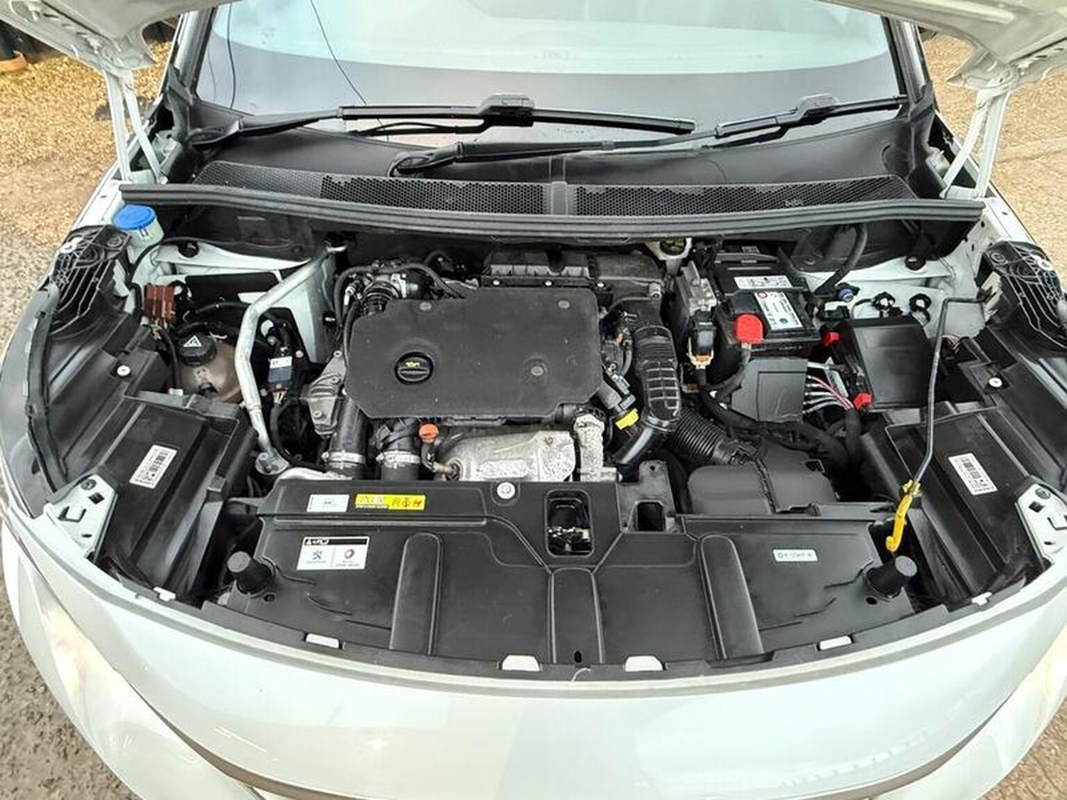 Used Peugeot 5008 2020 for sale - 76982790: Photo 42