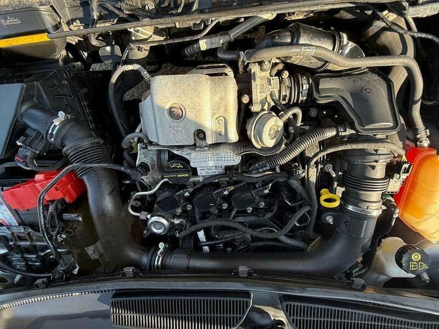 Used Ford Fiesta 2016 for sale - 76924531: Photo 53