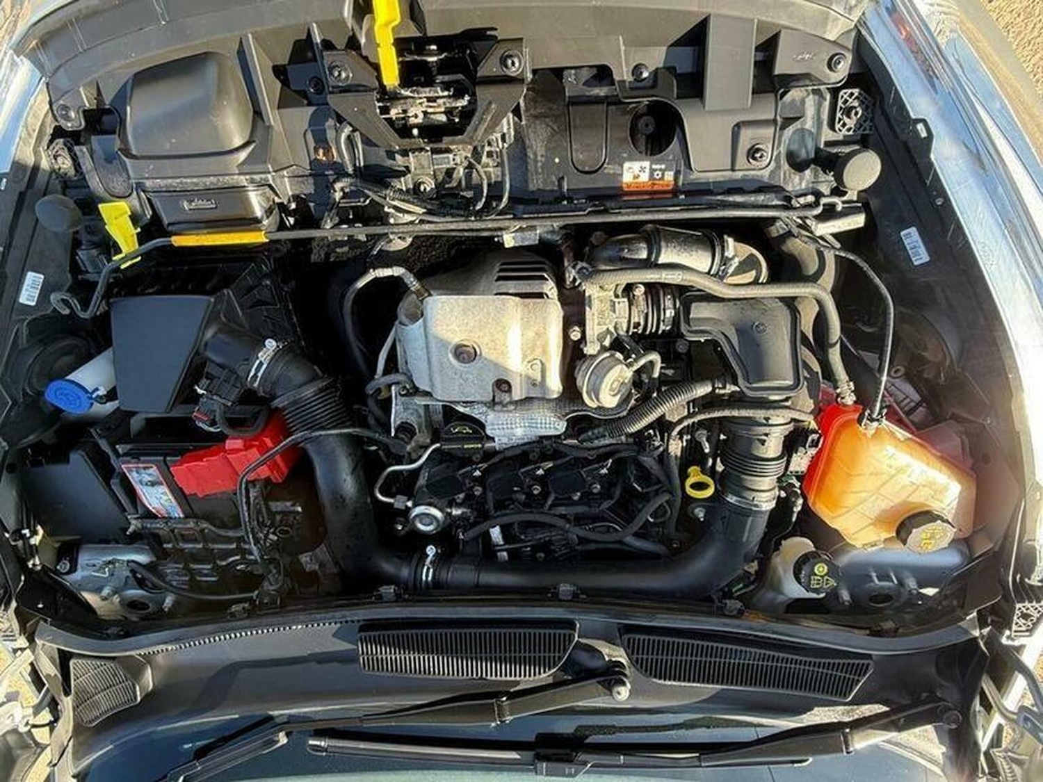 Used Ford Fiesta 2016 for sale - 76924531: Photo 54