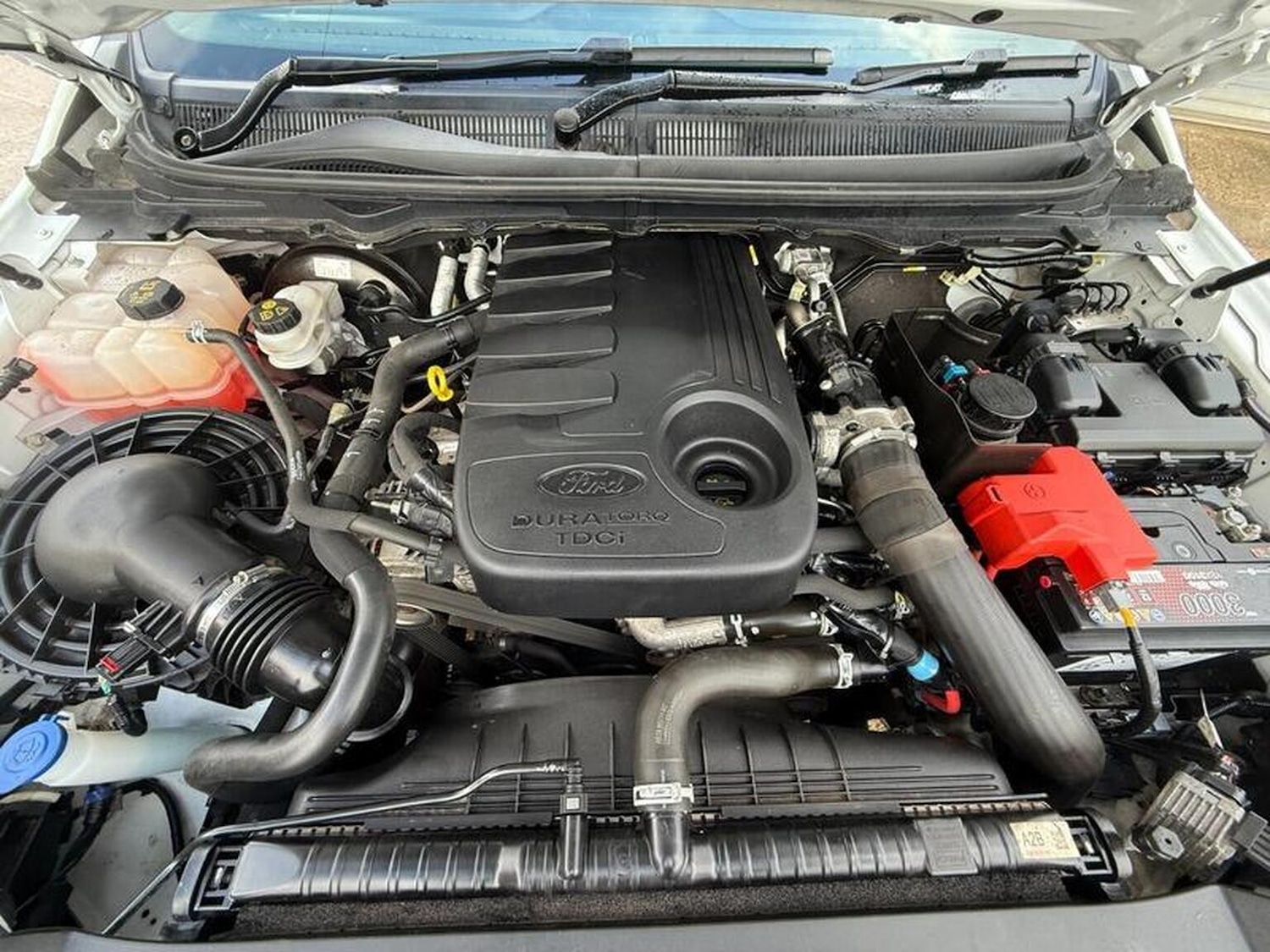 Used Ford Ranger 2019 for sale - 78045504: Photo 36