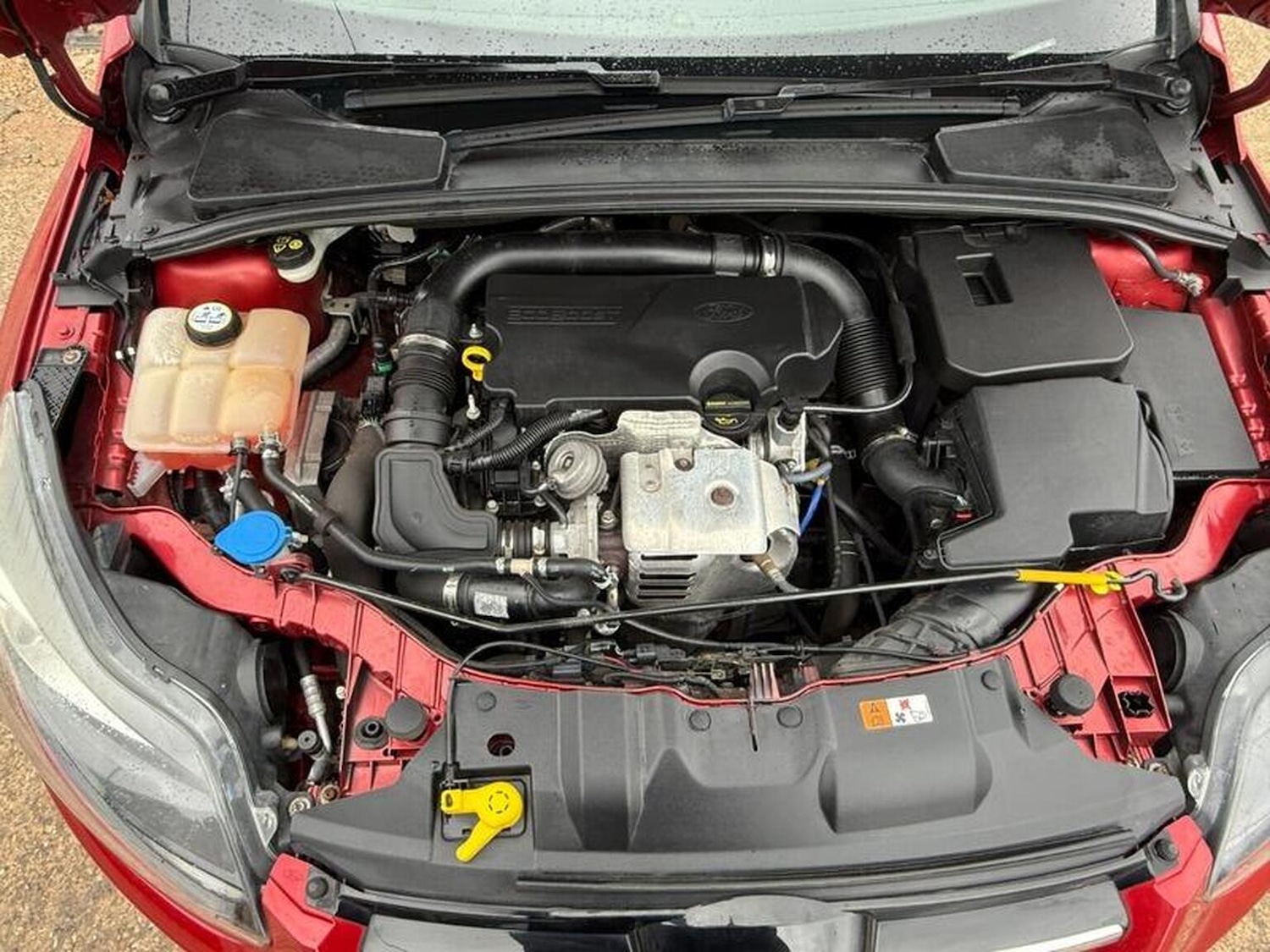 Used Ford Focus 2014 for sale - 76845053: Photo 52