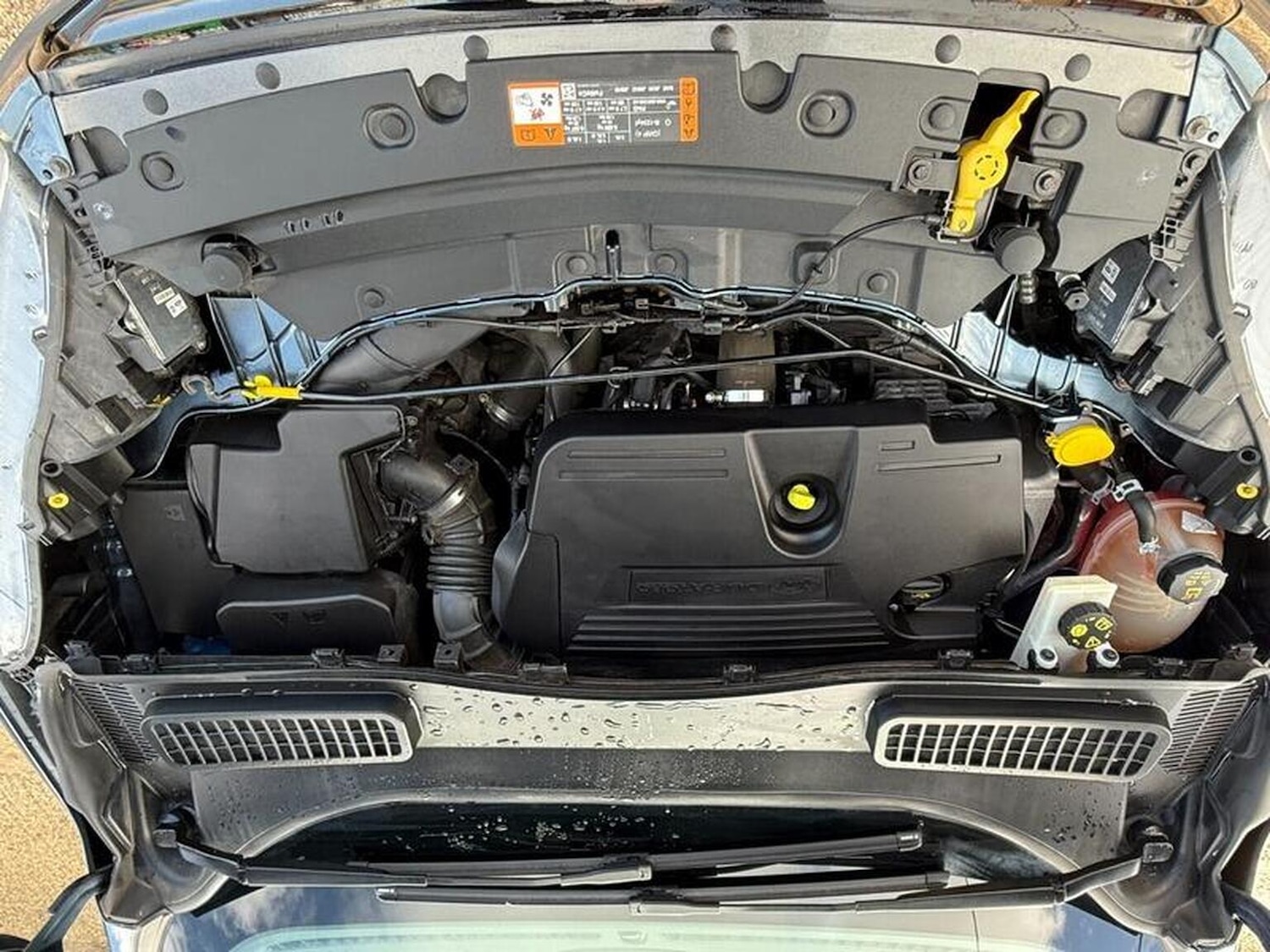 Used Ford Kuga 2019 for sale - 76497433: Photo 45