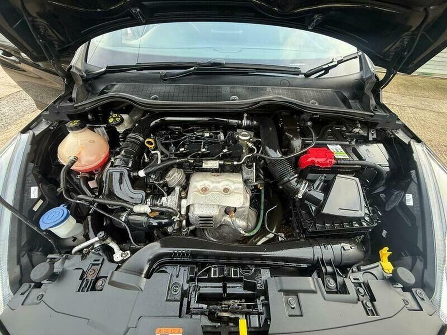 Used Ford Fiesta 2019 for sale - 77140680: Photo 52