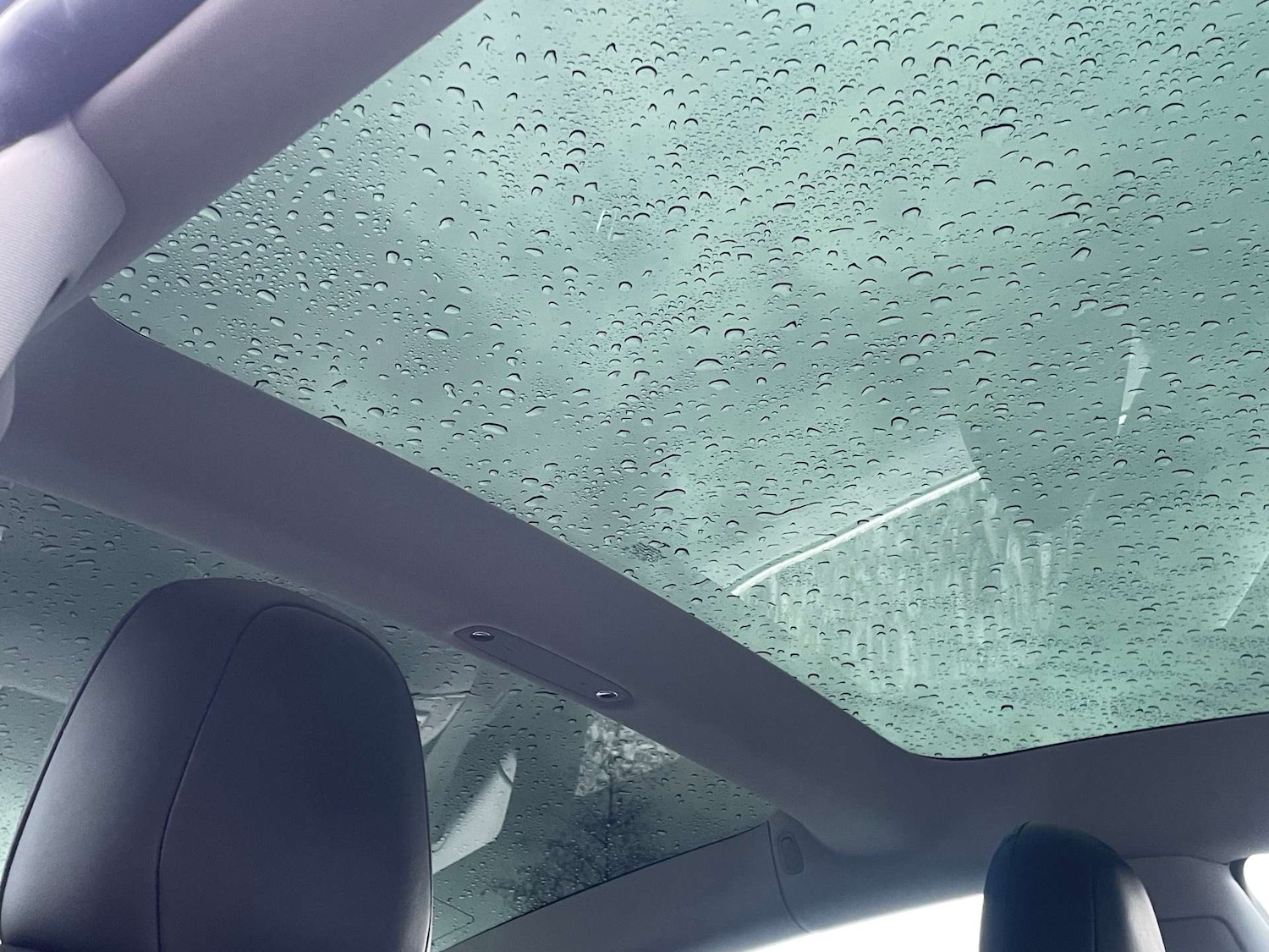 Used Tesla Model 3 2020 for sale - 77173429: Photo 16