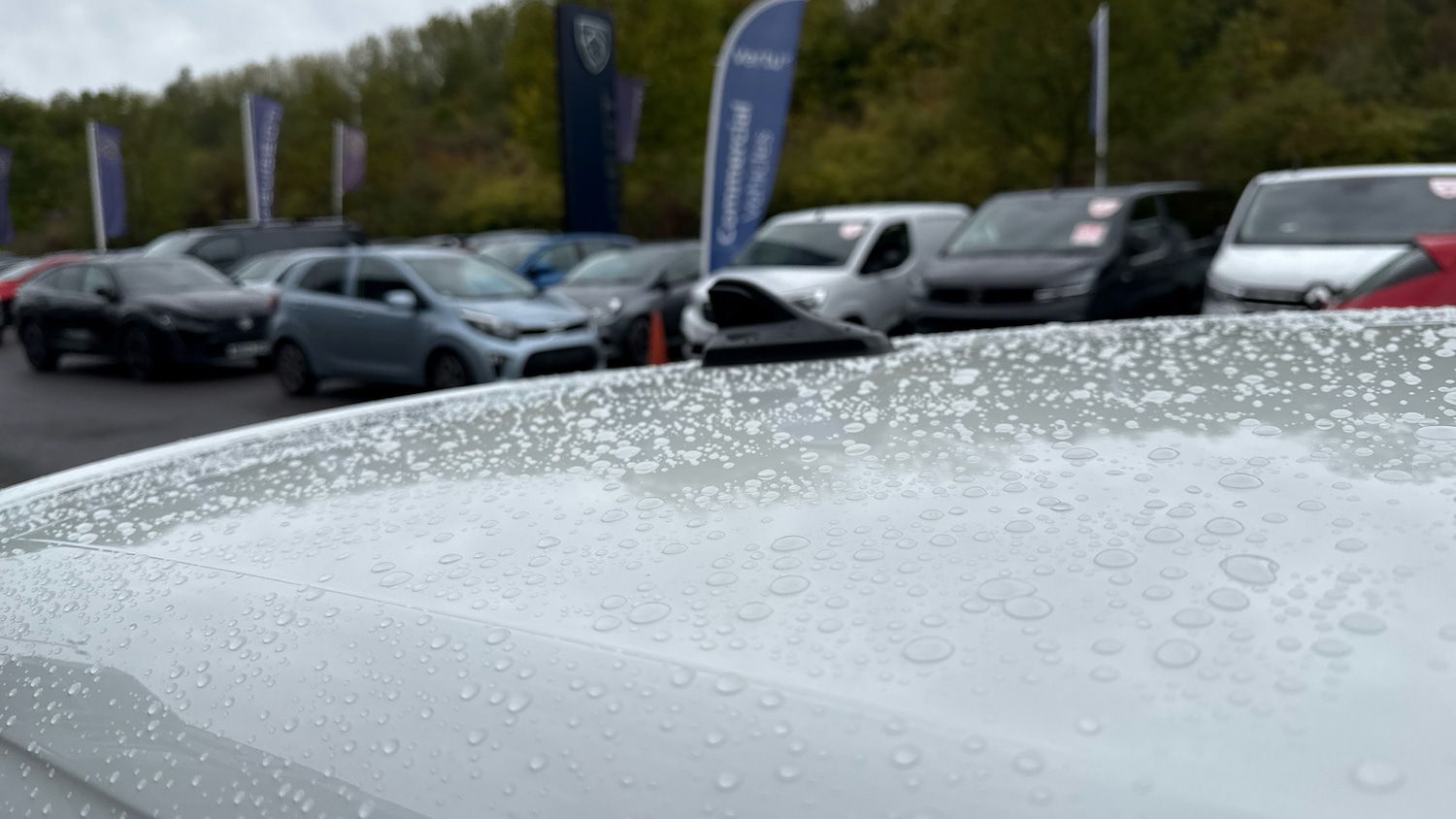 Used Volkswagen Golf 2021 for sale - 77077816: Photo 34