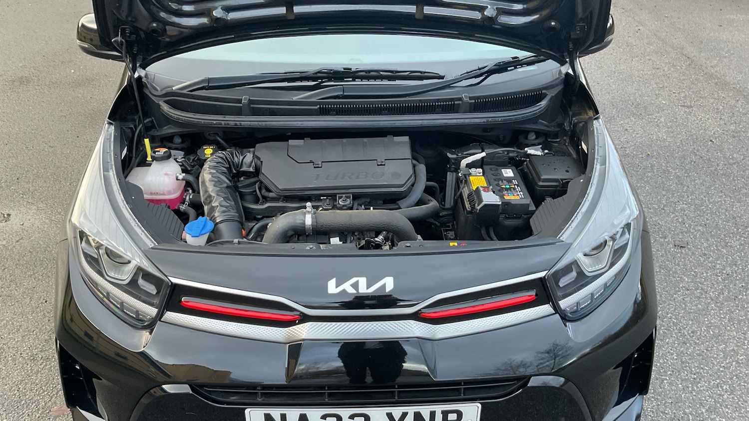 Used Kia Picanto 2023 for sale - 77272191: Photo 8