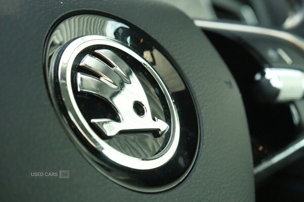 Used Volkswagen Tiguan 2025 for sale - 77769997: Photo 22