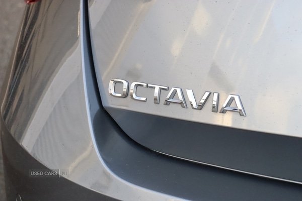 Used Skoda Octavia 2024 for sale - 76634472: Photo 21