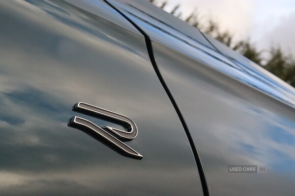 Used Volkswagen Tiguan 2025 for sale - 77192609: Photo 36