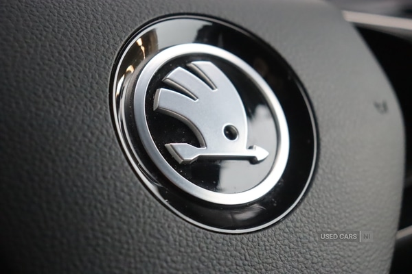 Used Skoda Kodiaq 2025 for sale - 76284671: Photo 21