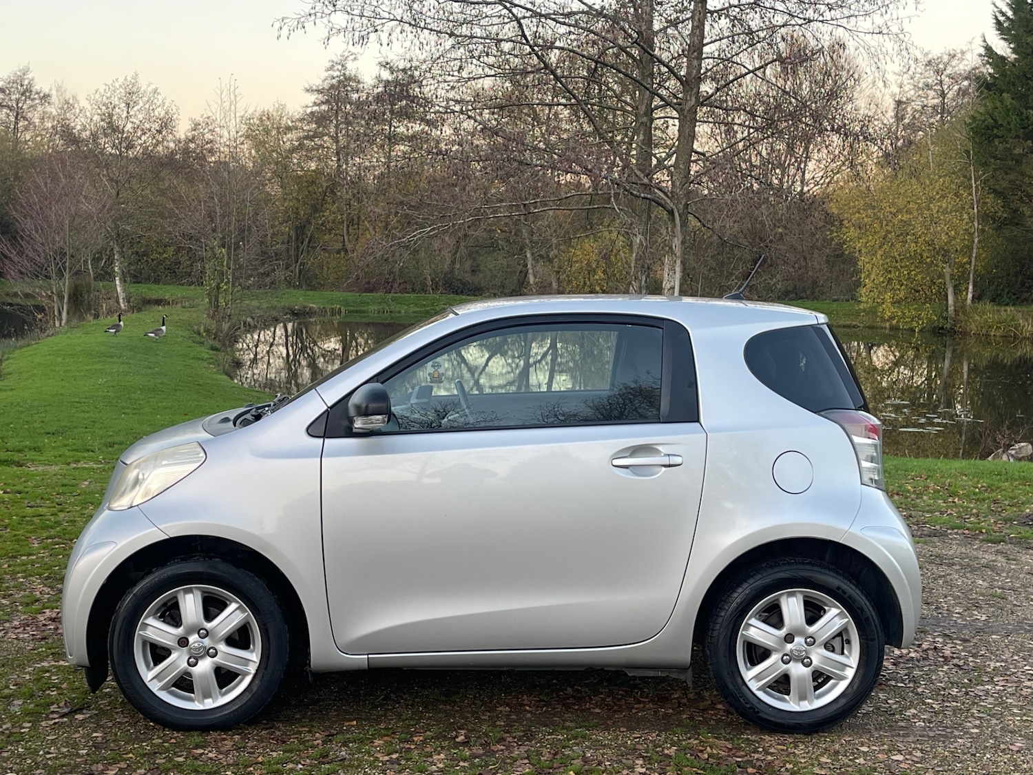 Used Toyota IQ 2009 for sale - 76606818: Photo 4