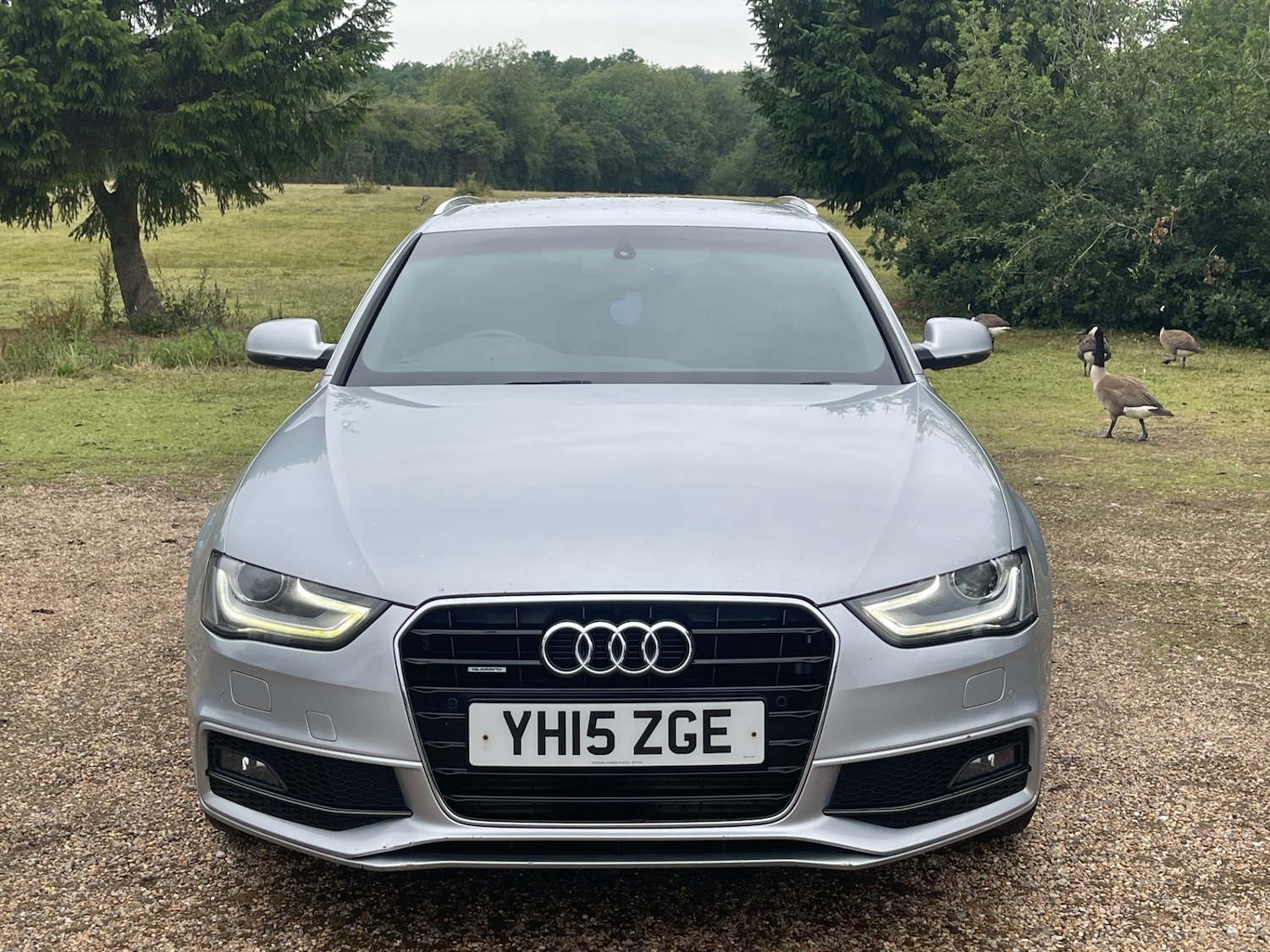 Used Audi A4 2015 for sale - 76225196: Photo 9