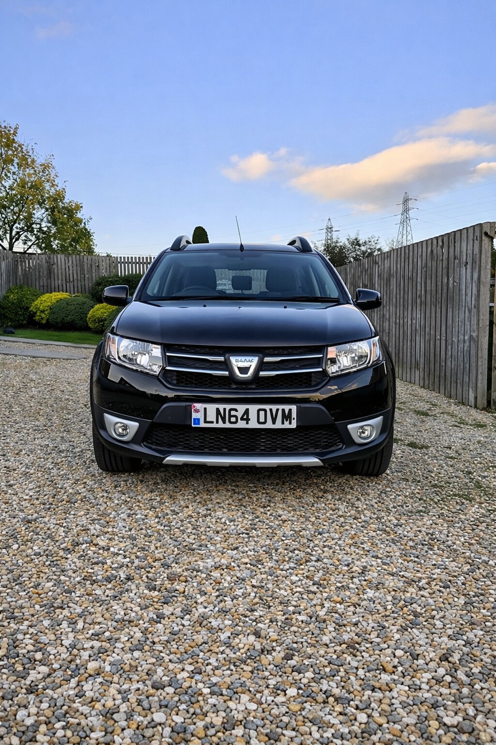 Used Dacia Sandero Stepway 2014 for sale - 77253568: Photo 2