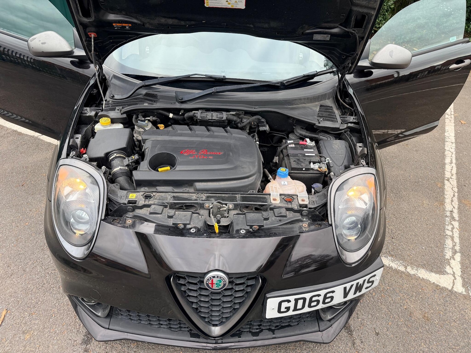 Used Alfa Romeo MiTo 2017 for sale - 76701076: Photo 42