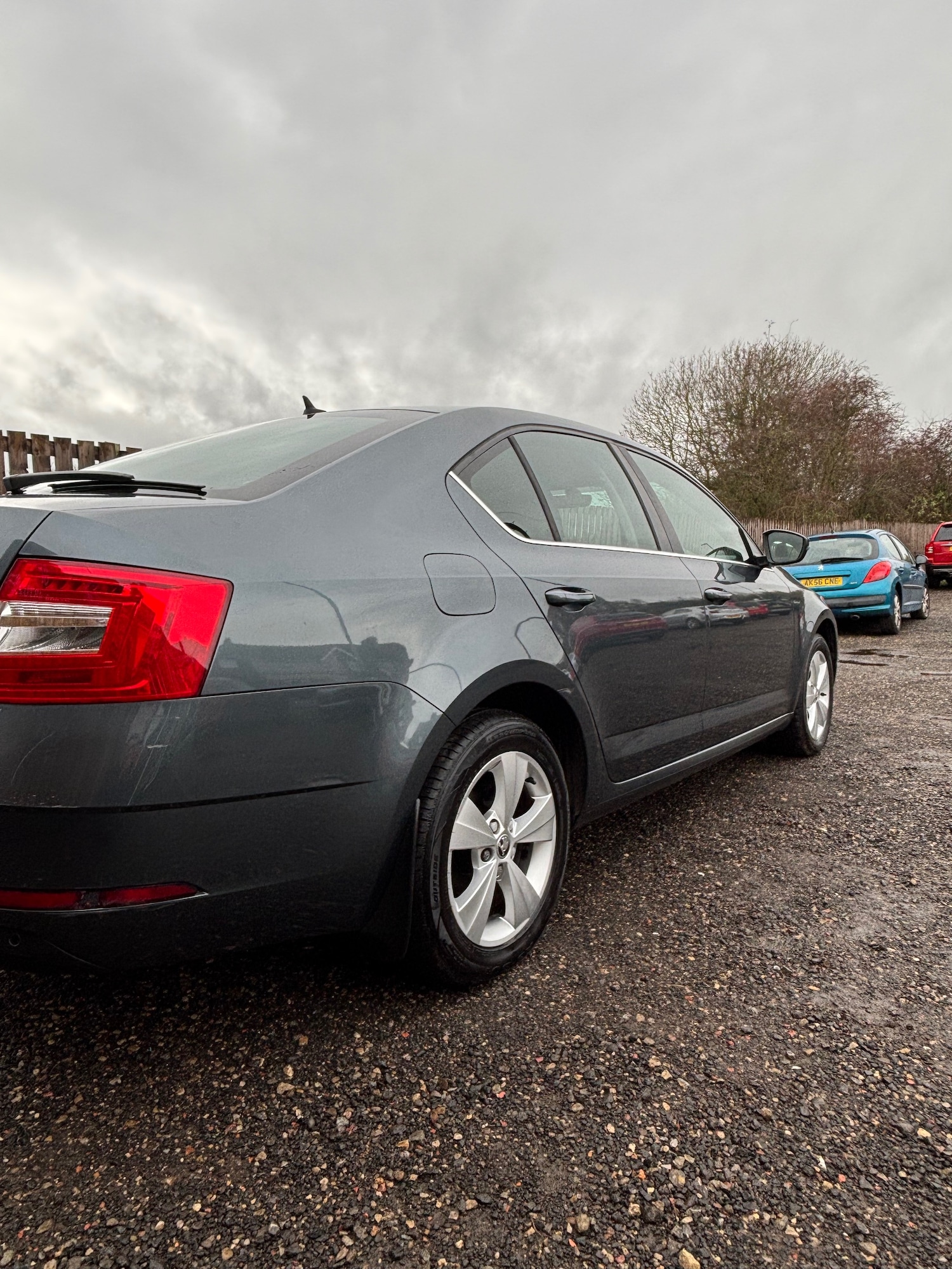 Used Skoda Octavia 2017 for sale - 76723039: Photo 15